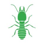 Termite treatments in fort mill BugsBGone