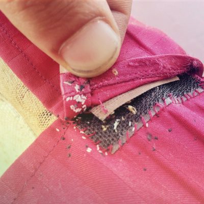 Bed Bug eggs on backpack