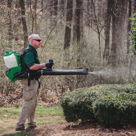 BugsBGone Local Pest Control Service in Fort Mill, SC