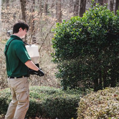 General pest control granule application Indian Land SC Bugs B Gone