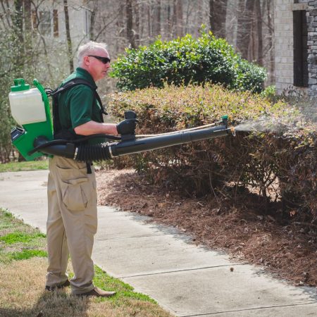 Mosquito control near Fort Mill SC BUGSBGONE