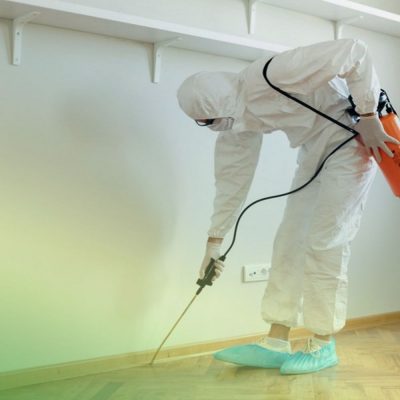 Pest Control near Fort Mill SC BUGSBGONE