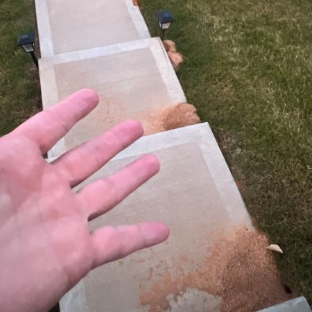 fire ant nests along sidewalk with hand gesturing in frustration. Contact bugsbgone for fire ant control in fort mill sc.