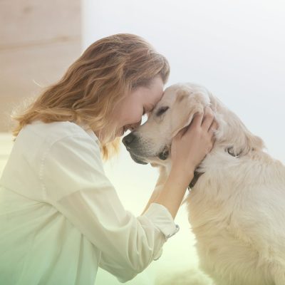 professional pet-friendly pest control in fort mill, SC BUGSBGONE