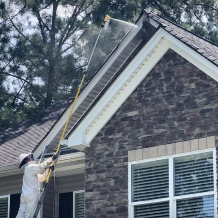 professional stinging insect control in fort mill sc BUGSBGONE