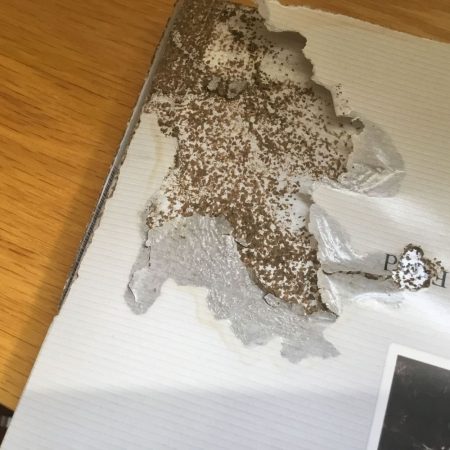 termite damage in fort mill sc BUGSBGONE